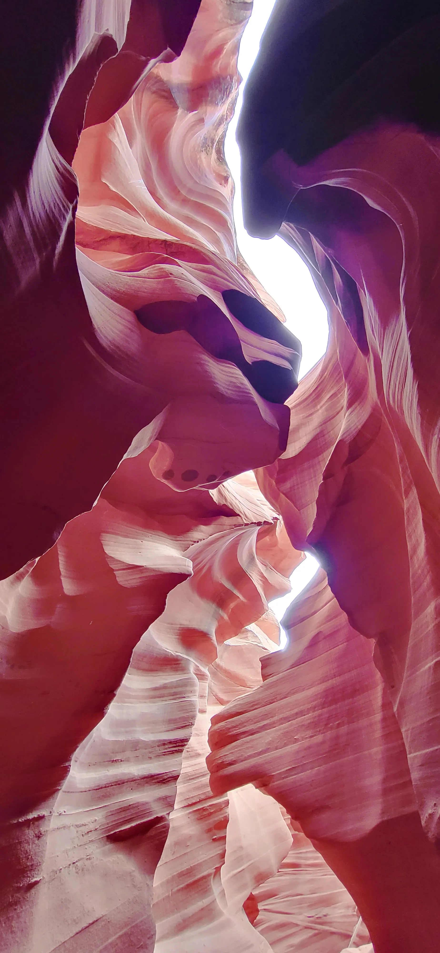 Arizona