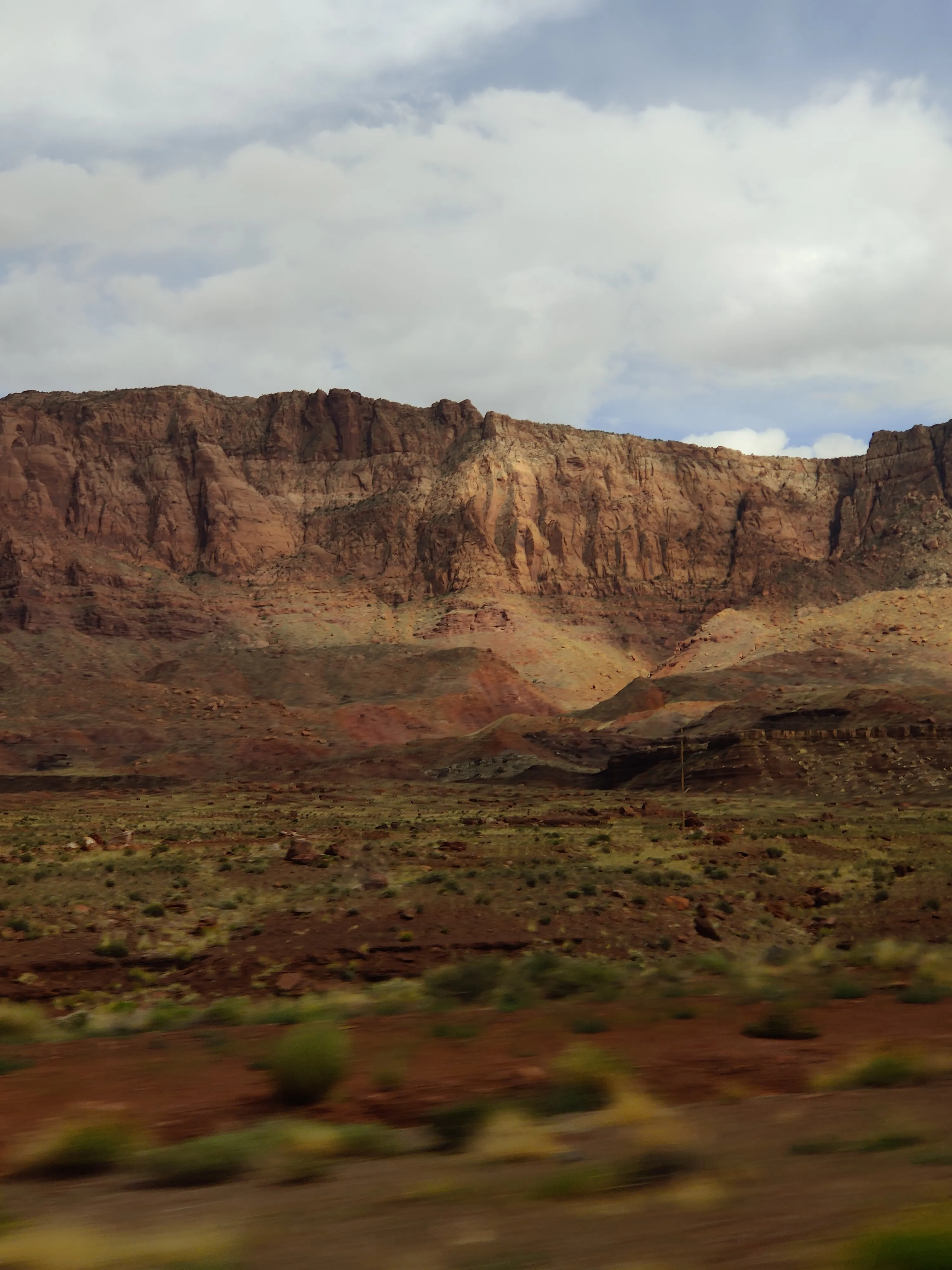 Arizona