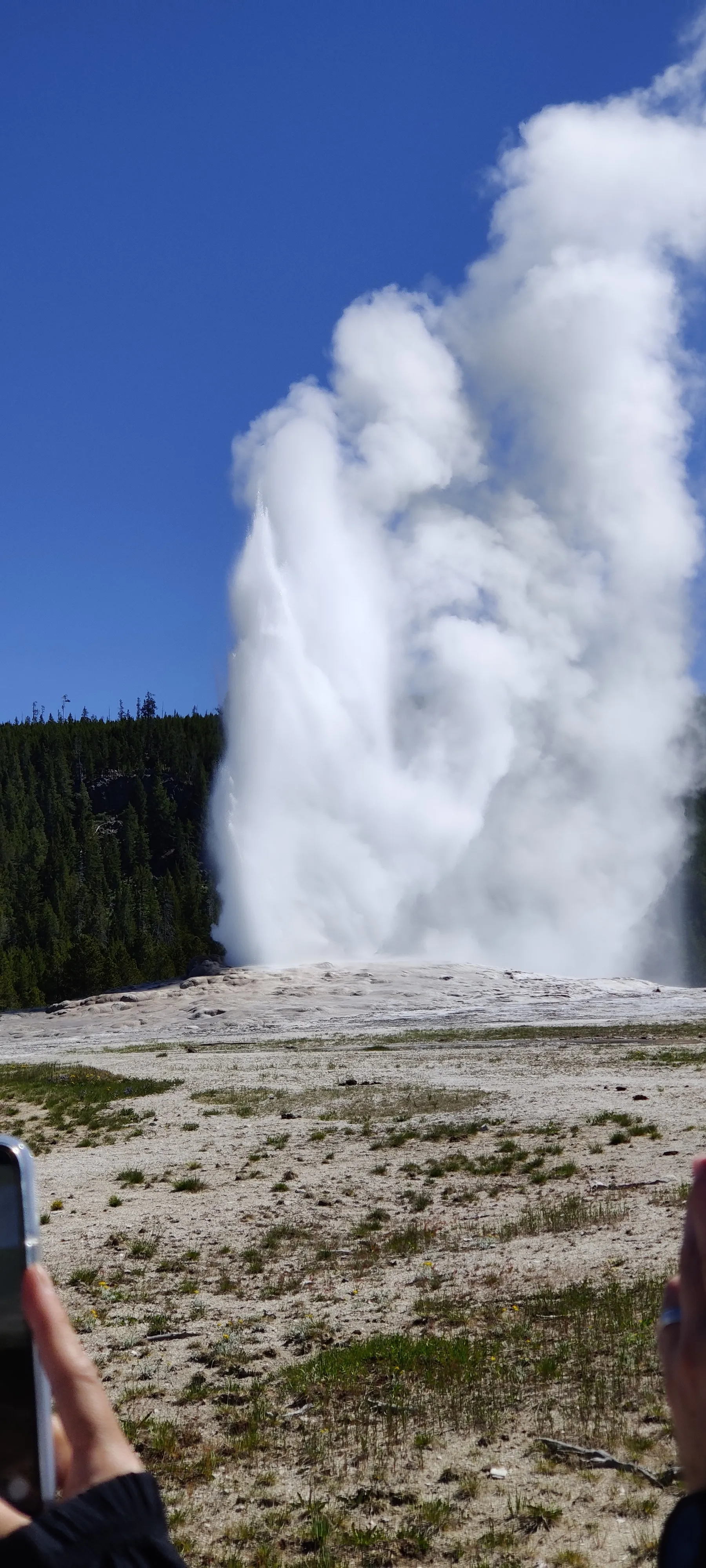 Yellowstone National Park