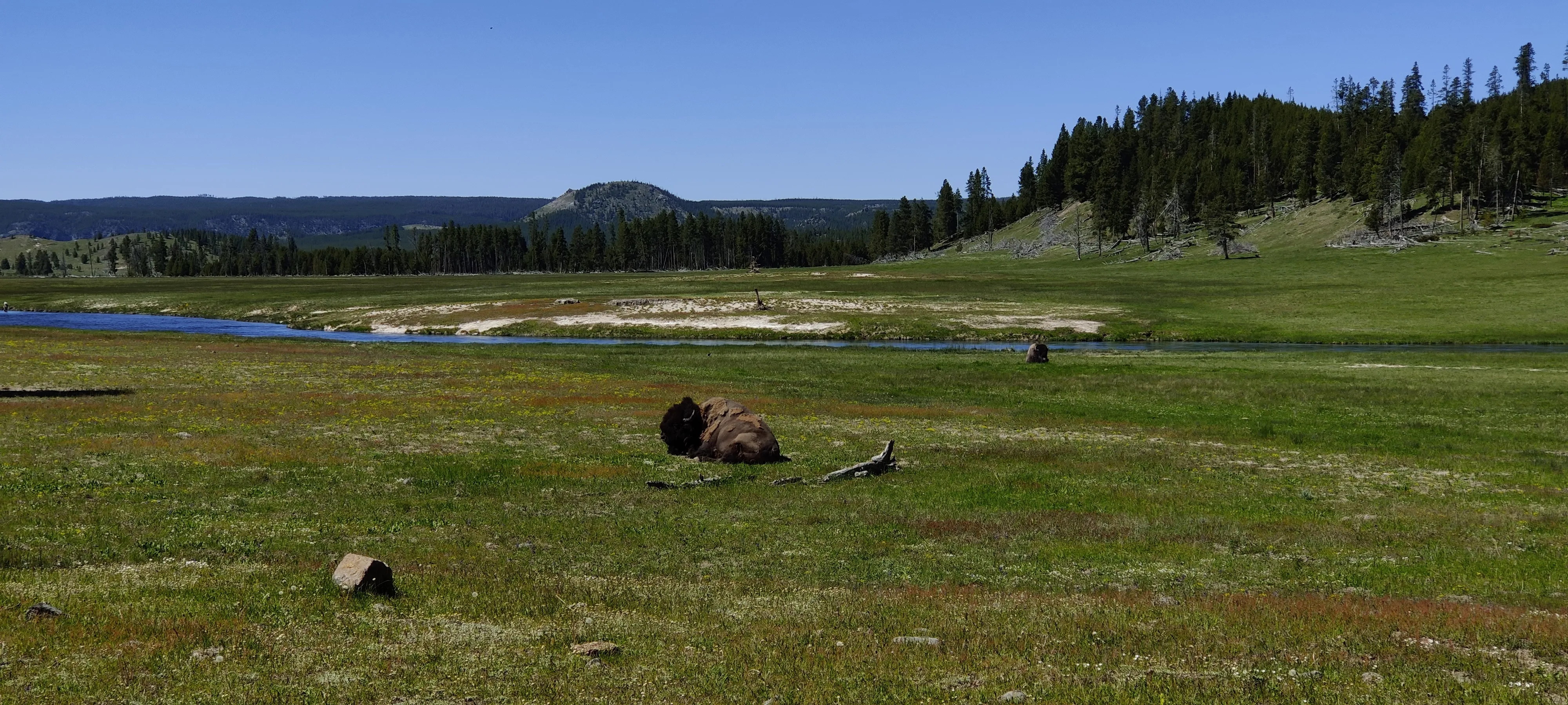 Yellowstone National Park